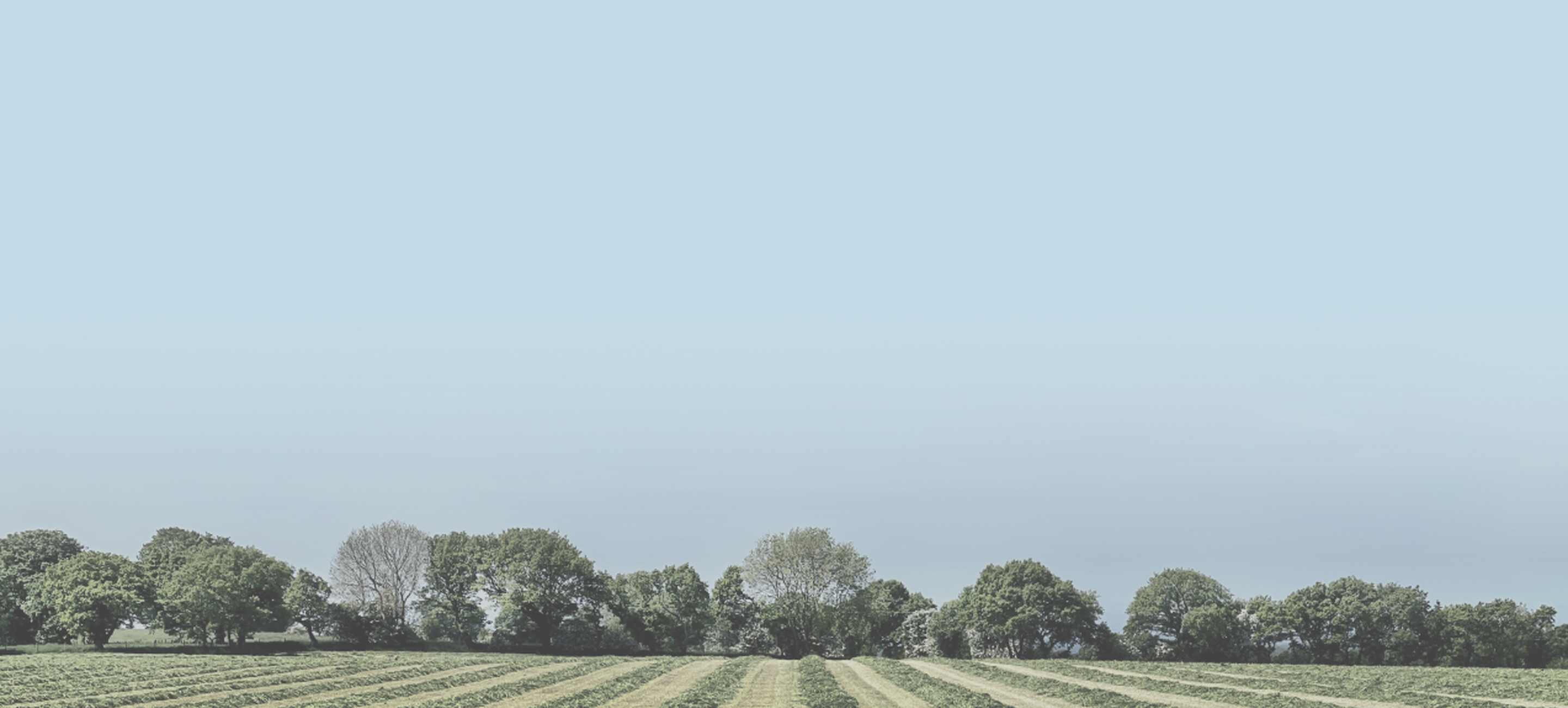 Wollen Sie Ihr Grundstück verkaufen?